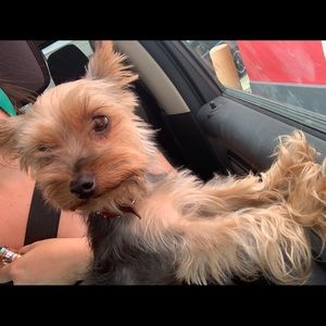 Meet your Posher, Staci